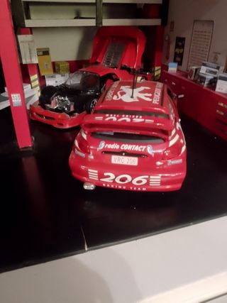 Modellismo Peugeot 206 WRC Scala 1:18