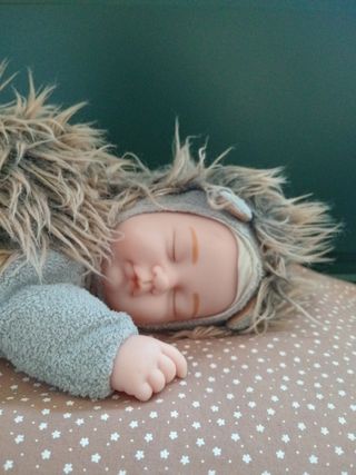 Muñeco erizo Anne Geddes