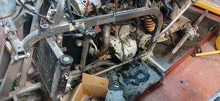 Despiece Gas Gas Wild 450