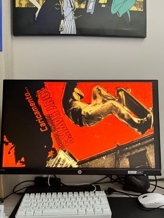 Lotto Tony Hawk – Wii | PAL Multilingua | Completi