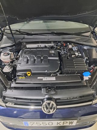 Volkswagen Golf Sportsvan 2019