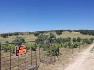 Terreno en venta en Coria