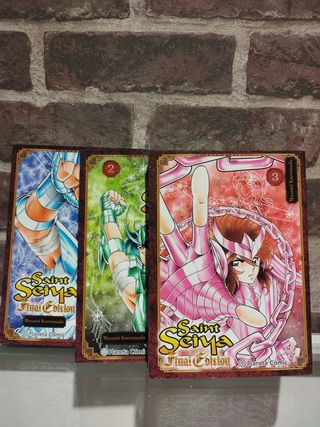 Saint Seiya. Los caballeros del Zodíaco (Final ...
