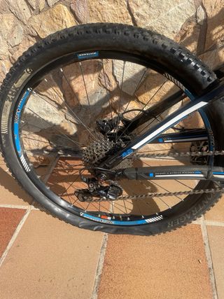 Bicicleta Trek Fuel EX 8