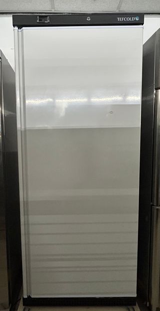 Congelador Vertical Tefcold