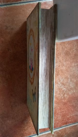 Caja decorativa libro mariposas y taza