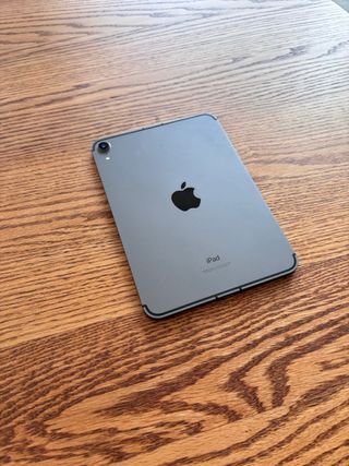 iPad mini 6 Wi-Fi + Cellular, color gris espacial