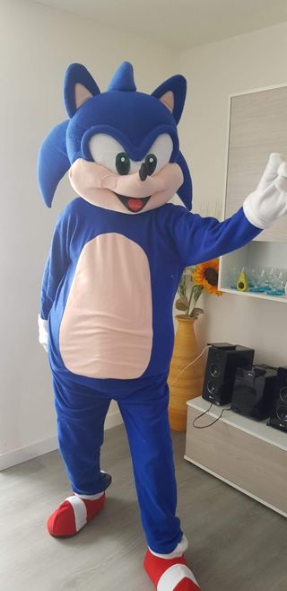 Alquiler Disfraz Sonic