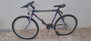 Bicicleta Orbea Sherpa MTB Morada