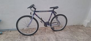 Bicicleta Orbea Sherpa MTB Morada