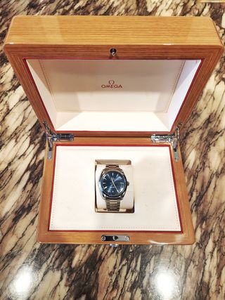 Omega Seamaster Aqua Terra 41mm Azul