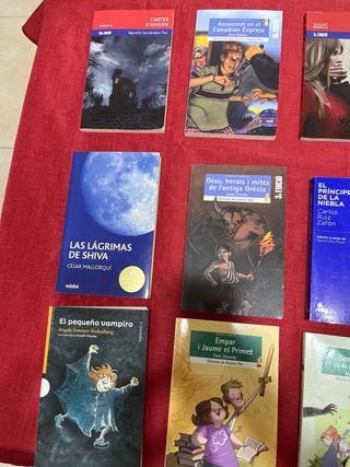 Libros de lectura ESO