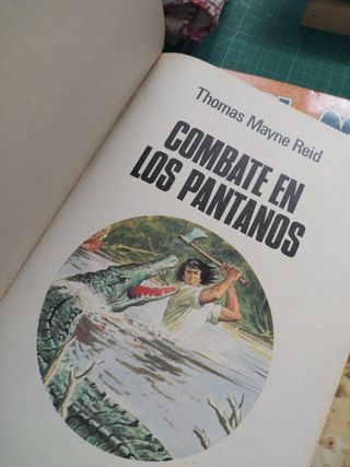 Lote Obras Ilustradas