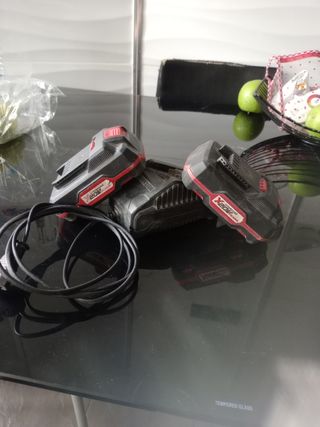 Cargador Baterías Parkside 20V