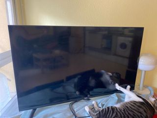 Televisión Engel 40 pantalla rota