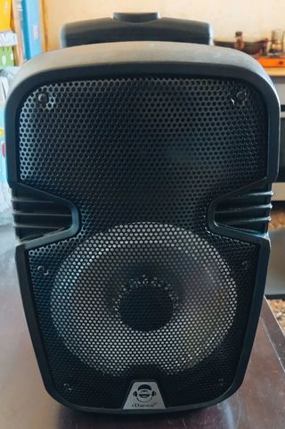 Grande Cassa con microfono e luci