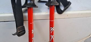 Esquís Dynamic y Atomic con bolsa