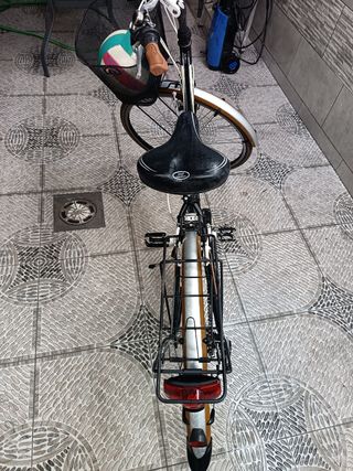 Bicicleta Bottechia Verde Natura Urbana.Negociable