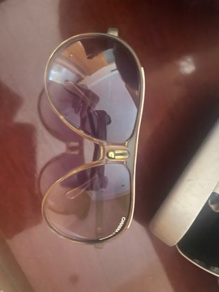Gafas de sol Carrera marrones