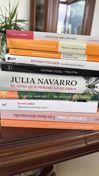 Novelas de temática variada
