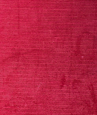Fundas para Toni