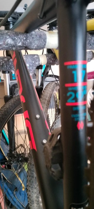 Bicicleta MTB 29er INDOOR