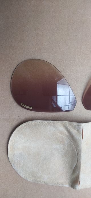 Lentes de sol Carrera Champion. Marrones.