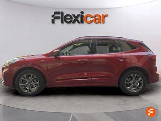 Ford Kuga ST-Line X 2.0 EcoBlue MHEV 110kW (150CV)