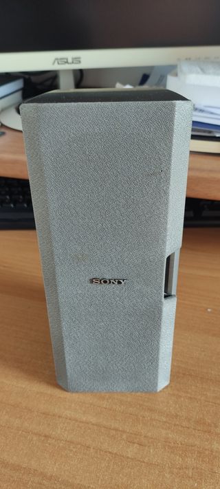 Altavoz Sony SS-RC100 Gris