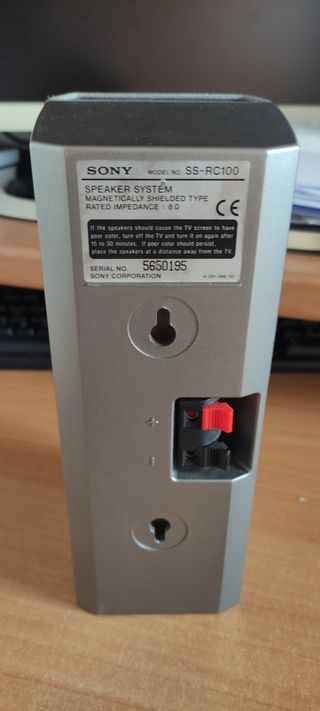 Altavoz Sony SS-RC100 Gris