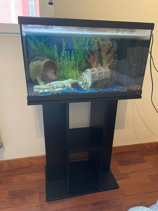 Acuario 60L con mesa, Casi Nuevo.
