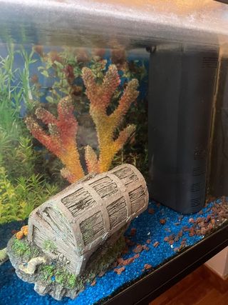 Acuario 60L con mesa, Casi Nuevo.