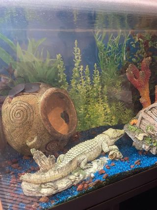 Acuario 60L con mesa, Casi Nuevo.