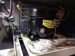 Frigorifero e camera di refrigerazione