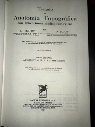 Anatomía topográfica