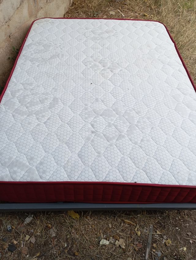 Base de cama con somier