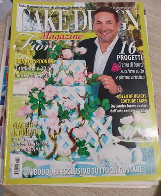 Lotto 15 riviste e manuali cake design