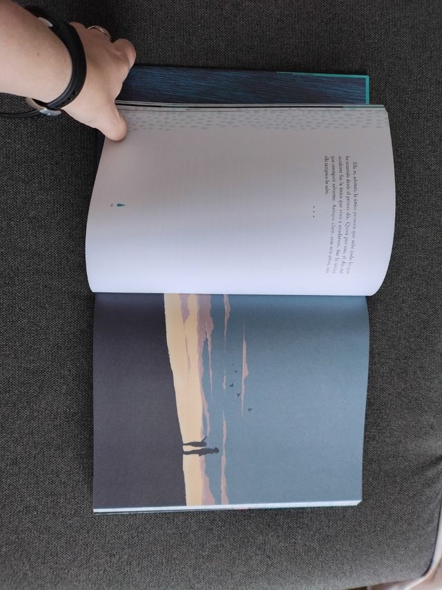 Invisible (Edición Ilustrada) / Invisible (Illu...