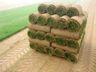 Rollo de césped natural