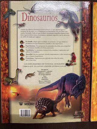2x Libro Dinosaurios e Insectos y arañas