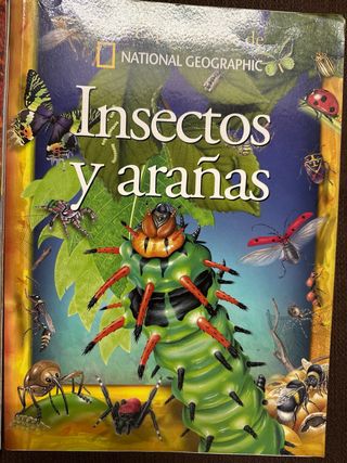 2x Libro Dinosaurios e Insectos y arañas