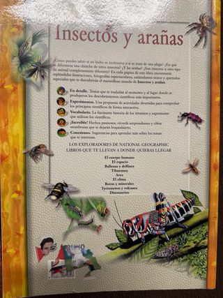 2x Libro Dinosaurios e Insectos y arañas