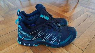Salomon XA PRO 3D GTX Zapatillas Trail Running