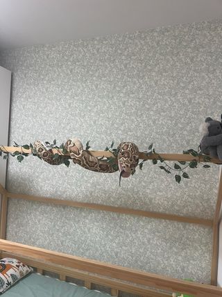 Instalación Papel Pintado