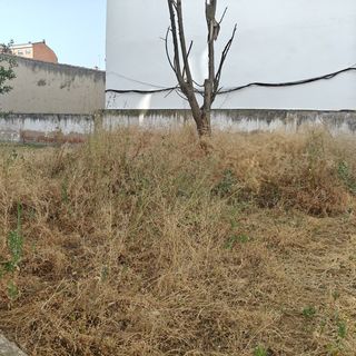 JARDINERO - DESBROCES