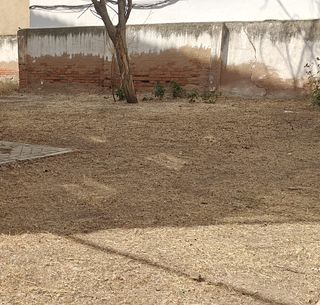 JARDINERO - DESBROCES