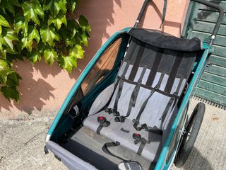 Carrito Remolque Bici Queridoo Sportrex 2