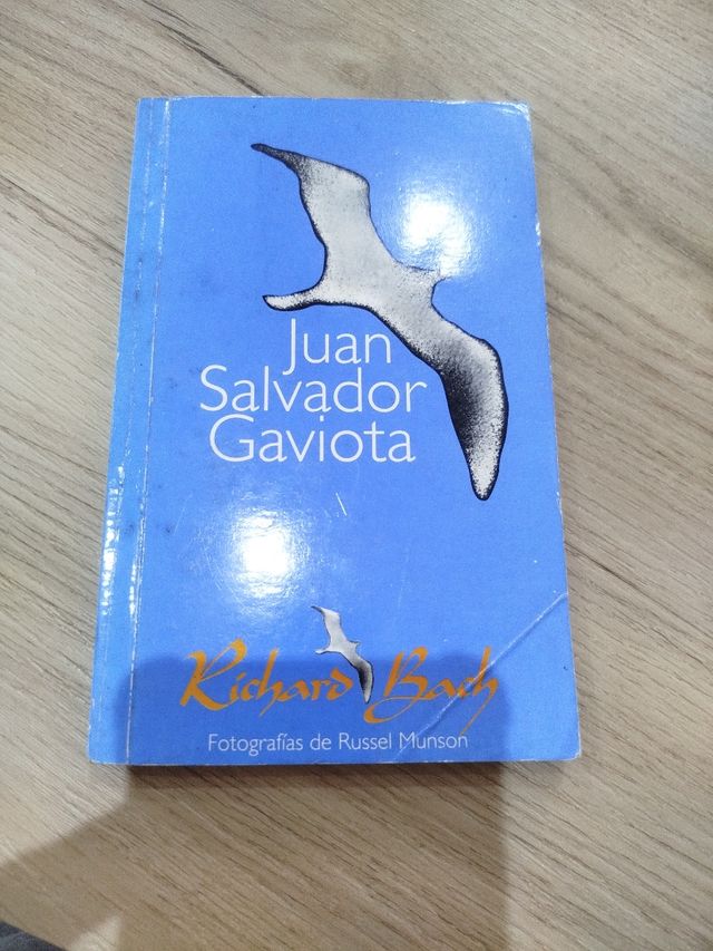 Juan Salvador Gaviota (Spanish Edition)