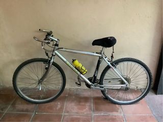 Bicicleta de montaña plateada