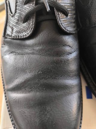 Botines Venice Hombre Negros